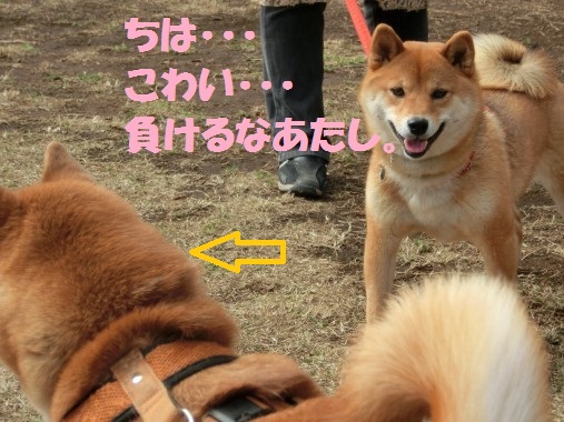 20130327-2.jpg