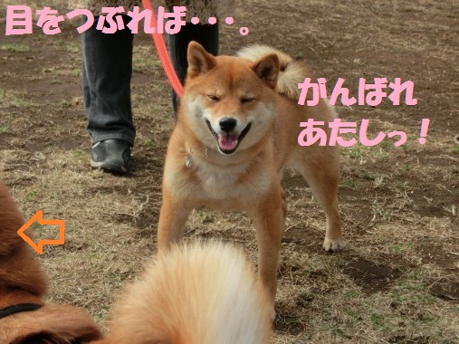 20130327-3.jpg