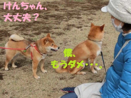 20130327-4.jpg