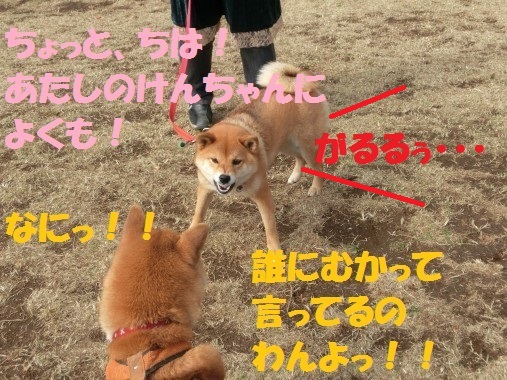 20130327-5.jpg