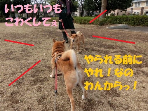 20130327-7.jpg