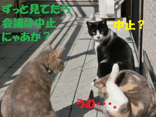 20130328-11.jpg