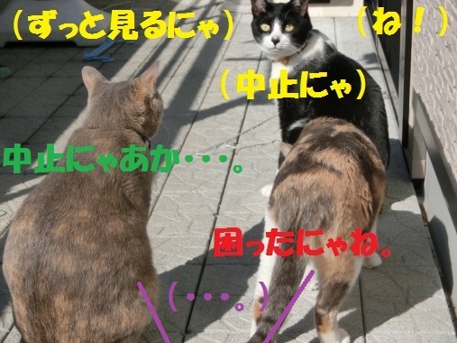 20130328-12.jpg