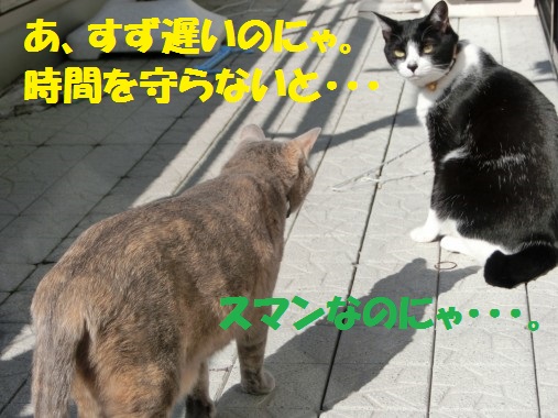 20130328-2.jpg
