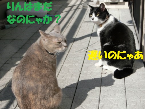 20130328-3.jpg