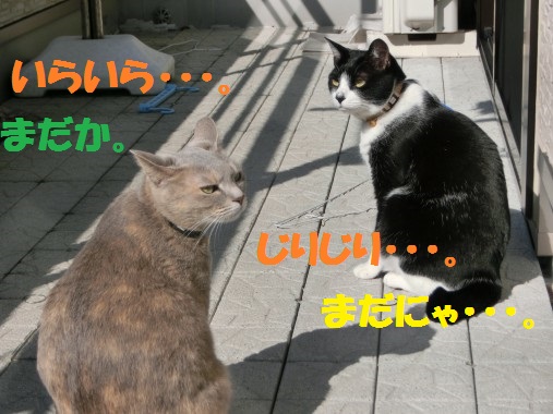20130328-4.jpg
