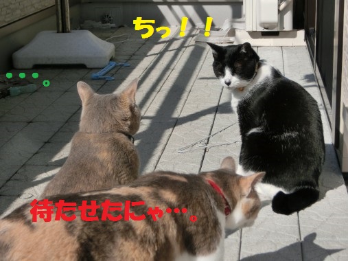 20130328-5.jpg