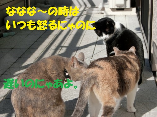 20130328-6.jpg