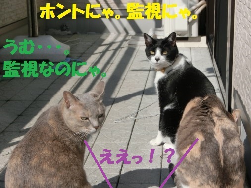 20130328-8.jpg