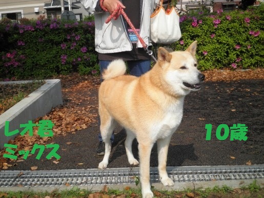 20130329-4.jpg