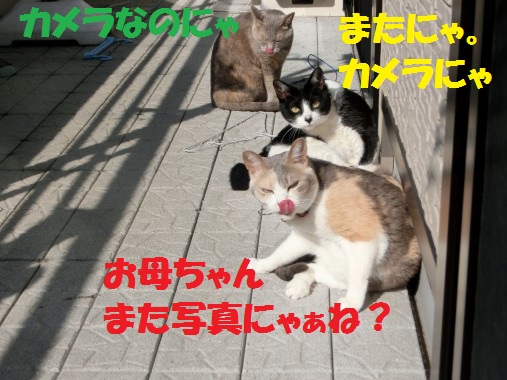 20130330-1.jpg