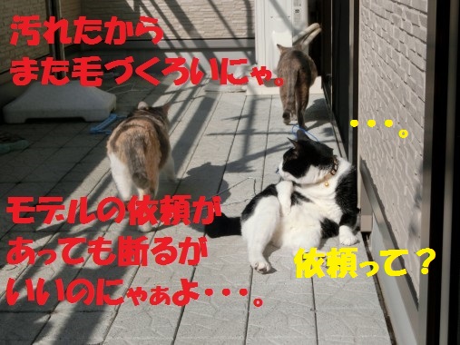 20130330-10.jpg