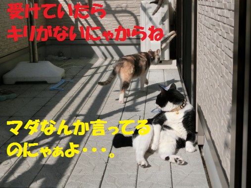 20130330-11.jpg