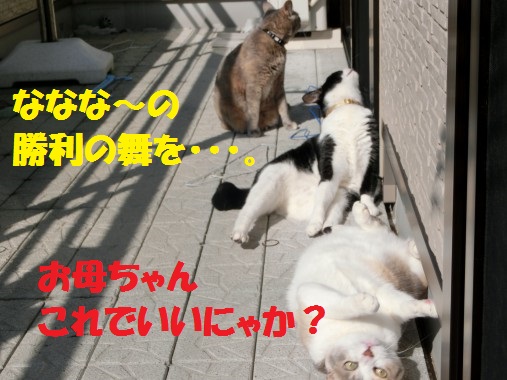 20130330-2.jpg