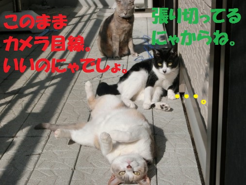 20130330-7.jpg