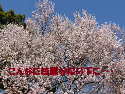 20130401-1.jpg
