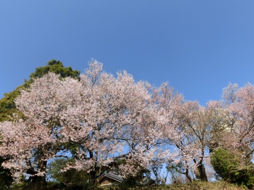 20130401-12.jpg