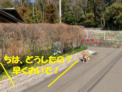 20130401-3.jpg