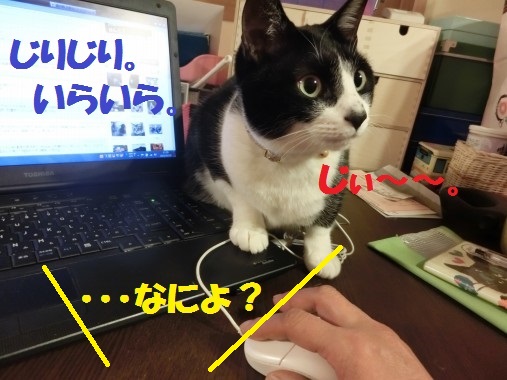 20130402-2.jpg