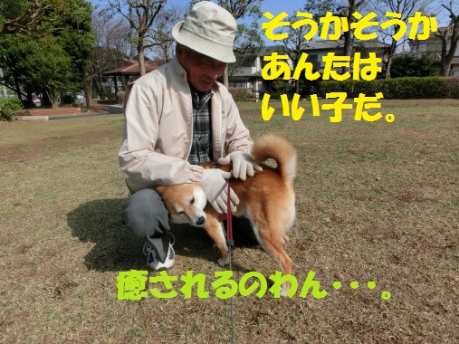 20130403-7.jpg