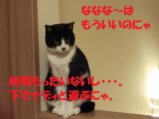 20130404-10.jpg