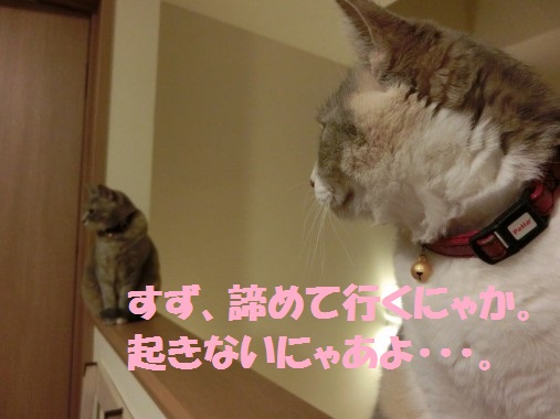 20130404-11.jpg