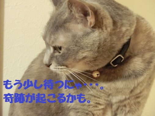 20130404-12.jpg