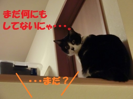 20130404-2.jpg