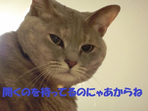 20130404-4.jpg
