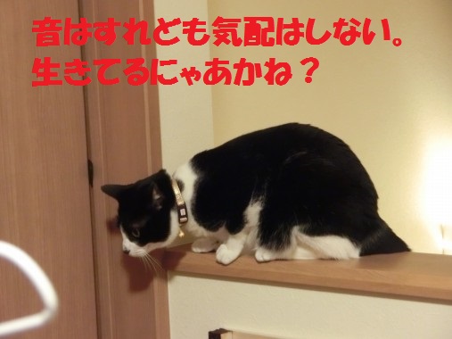 20130404-7.jpg