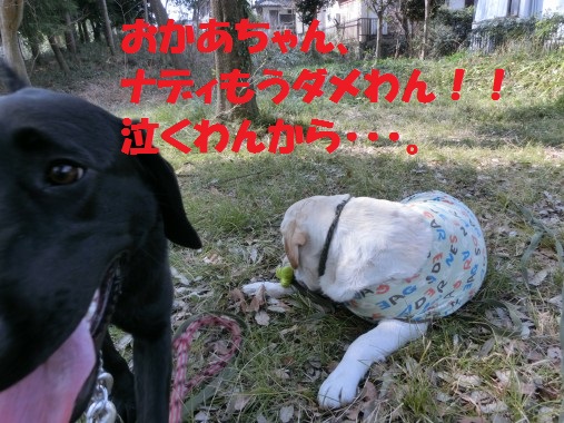 20130405-11.jpg