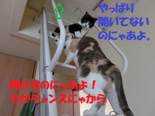 20130408-1.jpg