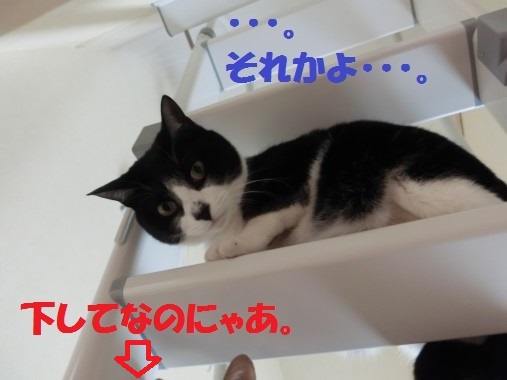 20130408-10.jpg