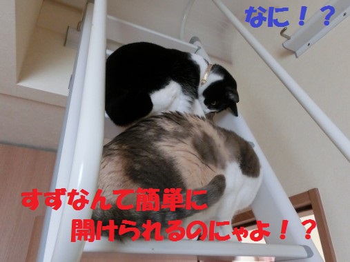 20130408-4.jpg