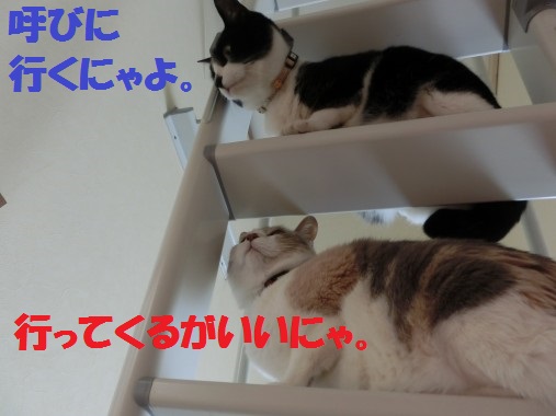 20130408-7.jpg