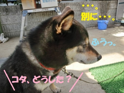 20130409-1.jpg