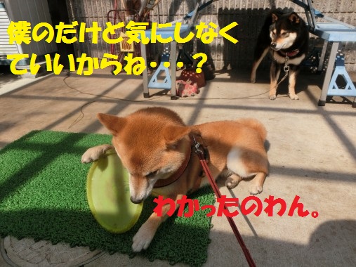 20130409-6.jpg
