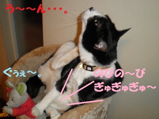 20130410-5.jpg