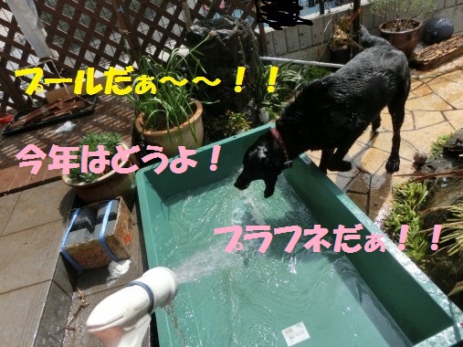 20130411-002.jpg