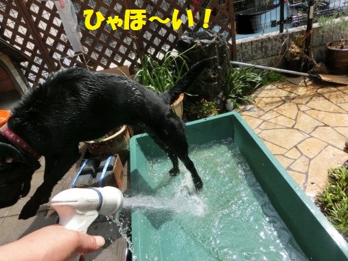 20130411-008.jpg