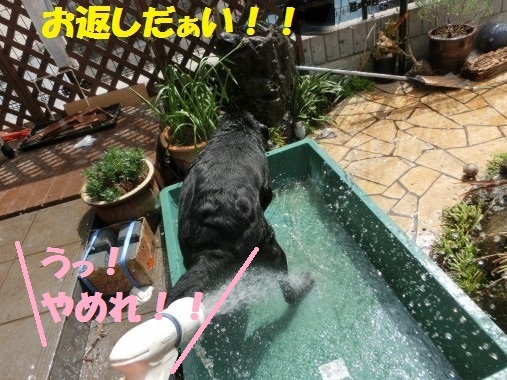 20130411-010.jpg