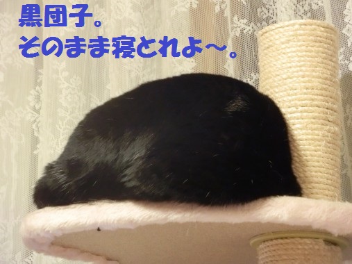 20130413-4.jpg