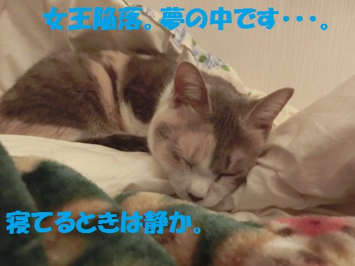 20130413-7.jpg