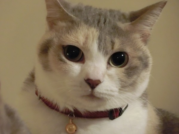 20130414-004.jpg