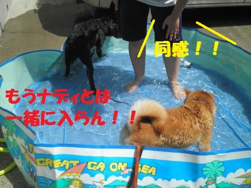 20130418-1.jpg