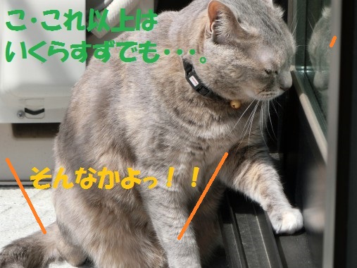 20130422-11.jpg