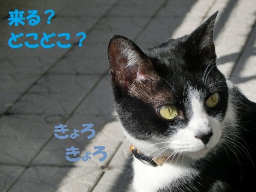 20130422-5.jpg