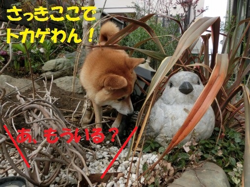 20130423-3.jpg