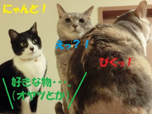 20130424-10.jpg