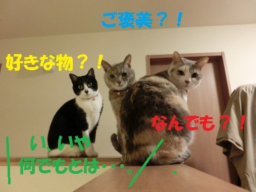 20130424-11.jpg